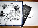 RESIDUAL ECHOES LP, six organs, comets on fire RARE 