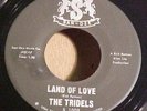 Rare Doo Wop / The Tridels - Land Of Love / San-Dee 45
