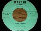 Laurel Mae Martin DETROIT HILLBILLY 45 Cool Breeze / Il