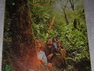 DOUGLAS FIR :RARE,HEAVY,PSYCH,ROCK LP,OREGON,QUAD, PROG