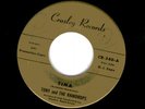  TONY & the RAINDROPS Rarity on CROSLEY Label