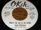 Tan Geers NORTHERN SOUL 45 Whats the Use of Me Trying
