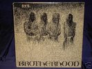 D.Y.S. - BROTHERHOOD LP EARLY US HARDCORE HC 1983