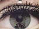 THE FREAK SCENE orig 1967 psych PSYCHEDELIC PSOUL