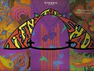 TIFFANY SHADE-RARE PSYCH ORIGINAL