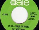 NORTHERN SOUL, THE SWEET THINGS - I'M IN A WORLD OF....