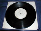 lee scratch perry black ark serious rare dub plate