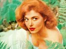 TINA LOUISE- HER PORTRAIT IN HIGH FI