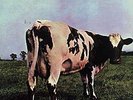 Pink Floyd-Atom Heart Mother LP Original Master #'d S/S