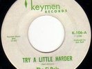 NORTHERN SOUL,        THE FI-DELS - TRY A LITTLE HARDER