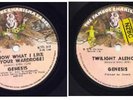 Genesis RARE New Zealand Wardrobe 45 1973
