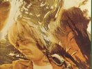 Billy Nicholls WOULD YOU BELIVE Psych ri LP Small Faces