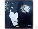 Flaviola E O Bando Do Sol RARE PSYCH BRAZIL 1976 LP
