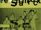The Shamrock, beat, 60's, , swiss, instro, ep