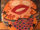Jorma Kaukonen Quah Picture Disc LP Hot Tuna Airplane