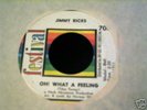 GREAT NORTHERN--JIMMY RICKS--OH WHAT A FEELING