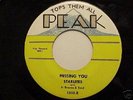 GREAT RARE DOO WOP 45 BY THE 
