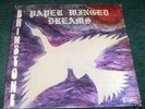 BRIMSTONE ^ PAPER WINGED DREAMS ^ LP RARE MONSTER PSYCH