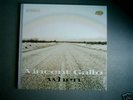 Vincent Gallo 'when' VINYL *mint* warp NO NY Gray