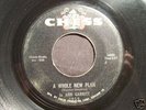 Northern Soul 45 JO ANN GARRETT on CHESS Whole New Plan