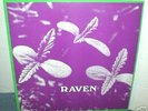 RAVEN  Back To Ohio Blues  LP   psych  Rockadelic