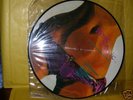 ROXY MUSIC  TOKYO-TOUR  PICTURE DISC BUDOKAN 1983