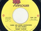 Bobby Taylor  Northern Soul 45  Sunflower 126   Roses..