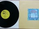 FARAWAY FOLK - Seasonal Man - rare folk vinyl LP