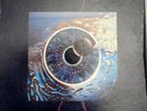 Pink Floyd Record Pulse LP Vinyl