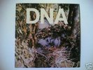 DNA Taste Of DNA US LP VINYL Arto Lindsay No New York