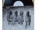 DYS Brotherhood LP  Straight Edge