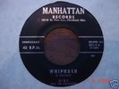 Rare Ohio Rockabilly Riki and the Rikatones MINT 45
