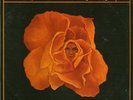 Various - Petal Pushers     psych on Chess Records