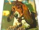 DUFFY Just in case you're.. Top Rare Prog Psych Rock