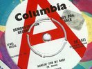 THE SYNDICATS - HOWLIN FOR MY BABY - RARE DEMO 7