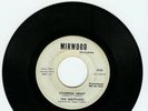 Northern Soul - The Sheppards on Mirwood - RARE PROMO