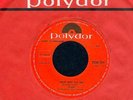 SLADE KNOW WHO YOU ARE DAPPLE ROSE UK 45 7 Mint POLYDOR