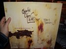 nine inch nails THE DOWNWARD SPIRAL VINYL 12