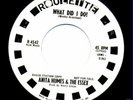 NORTHERN SOUL 45 ANITA HUMES WHAT DID I DO ROULETTE