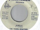 THE YOUNG SENATORS - VERY  RARE FUNK PICTURE SLEEVE