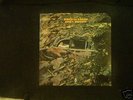 Buffett, Jimmy  Down To Earth  Rare 1st LP and Clean