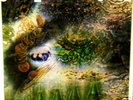 PINK FLOYD A Saucerful Of Secrets UK lp MT- orig stereo
