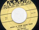 RARE DOO-WOP - THE EBBTIDES ON TEEN