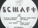 Schaft Visual Cortex 12