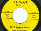 N. Soul - JOHNNY GUITAR WATSON, Ain't Gonna Move, JOWAT