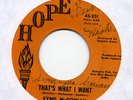 SYNG McGOWAN That's What I Want Northern Soul 45 HOPE 