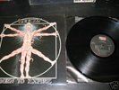 LEEWAY Born to Expire LP NYHC