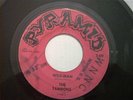 THE TAMRONS - RARE GARAGE 45 ON PYRAMID LABEL # 7-7381