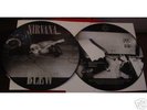 NIRVANA - BLEW  12'' PICTURE DISC AS NEW MINT CONDITION