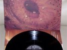 Catherine Wheel Ferment Debut Lp Rare Slowdive MBV C86